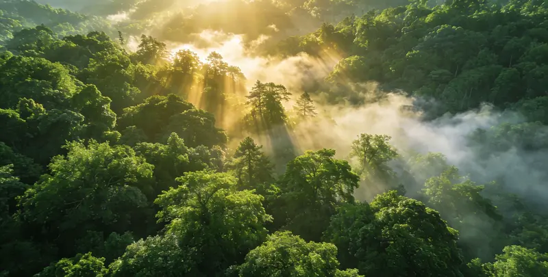 南通肺癌（EGFR T790M)突变检测图片1
